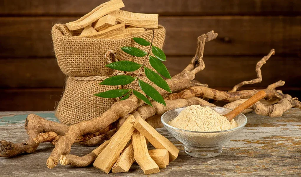 Tongkat Ali Extract